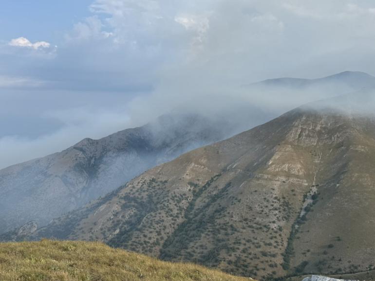 Πάνω από 11.000 στρέμματα παρθένου δάσους κάηκαν από τη φωτιά στο όρος Όρβηλος