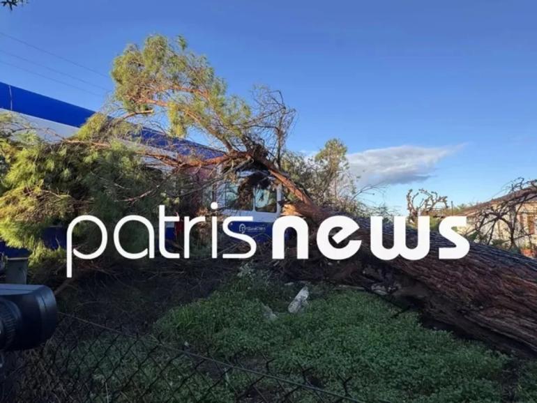 Πεύκο έπεσε πάνω σε εν κινήσει τρένο