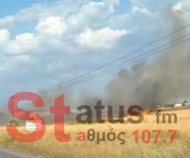 Θεσσαλονίκη: Καλύτερη η εικόνα από την πυρκαγιά κοντά στην Αγχίαλο - Επί τόπου η Πυροσβεστική (ΒΙΝΤΕΟ)