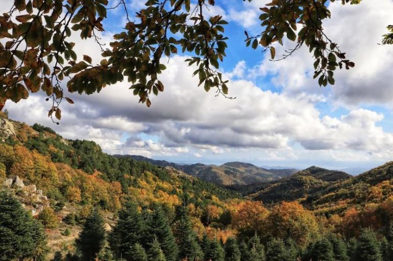 Υψηλός κίνδυνος πυρκαγιάς αύριο στη Χαλκιδική