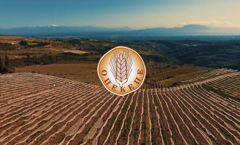 OΠΕΚΕΠΕ: Δύο ακόμη παραιτήσεις στελεχών της ΝΔ