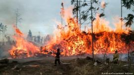 ΔΕΔΔΗΕ: Αυθαίρετες οι αναφορές ότι για τις φωτιές ευθύνεται το ηλεκτρικό δίκτυο