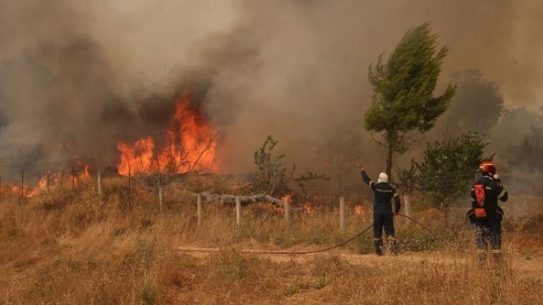 Αρτοποιός για φωτιά στη Χαλκιδική: Κοντά στην παραλία το μέτωπο – Δύο πυροσβέστες στο νοσοκομείο