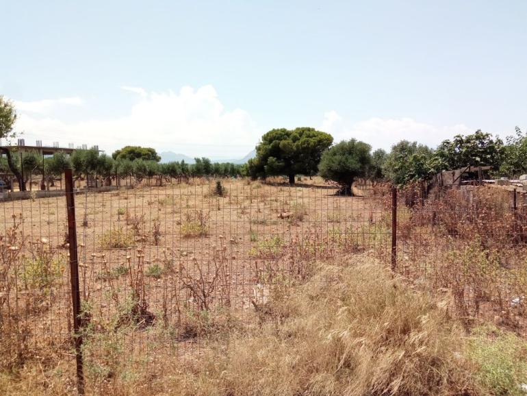 Ακαθάριστα οικόπεδα: Πότε ξεκινούν οι έλεγχοι, 550.000 οι δηλωμένοι καθαρισμοί