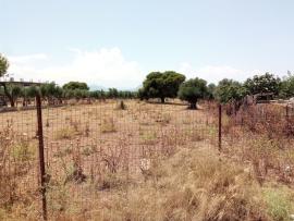 Ακαθάριστα οικόπεδα: Πότε ξεκινούν οι έλεγχοι, 550.000 οι δηλωμένοι καθαρισμοί