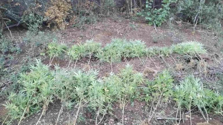 Θεσσαλονίκη: Ανήλικος συνελλήφθη με χασίς