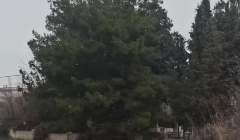 Χιονίζει ξανά στα προάστια της Θεσσαλονίκης - Δείτε βίντεο