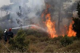 Υψηλός κίνδυνος πυρκαγιάς αύριο σε Θεσσαλονίκη, Χαλκιδική και Άγιον Όρος