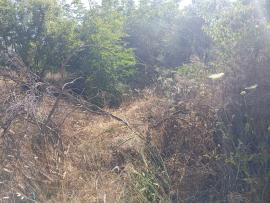 Καταγγελία: Επικίνδυνο σημείο "πυριτιδαποθήκη" στην Πιερία (ΦΩΤΟ)
