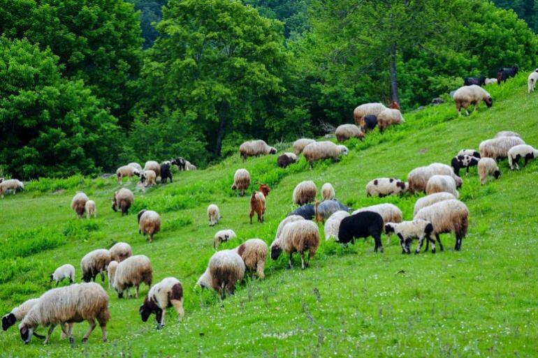 Εργασίες συντήρησης στην 28η Επαρχιακή Οδό Θεσσαλονίκης - Πλαγιαρίου - Επανομής