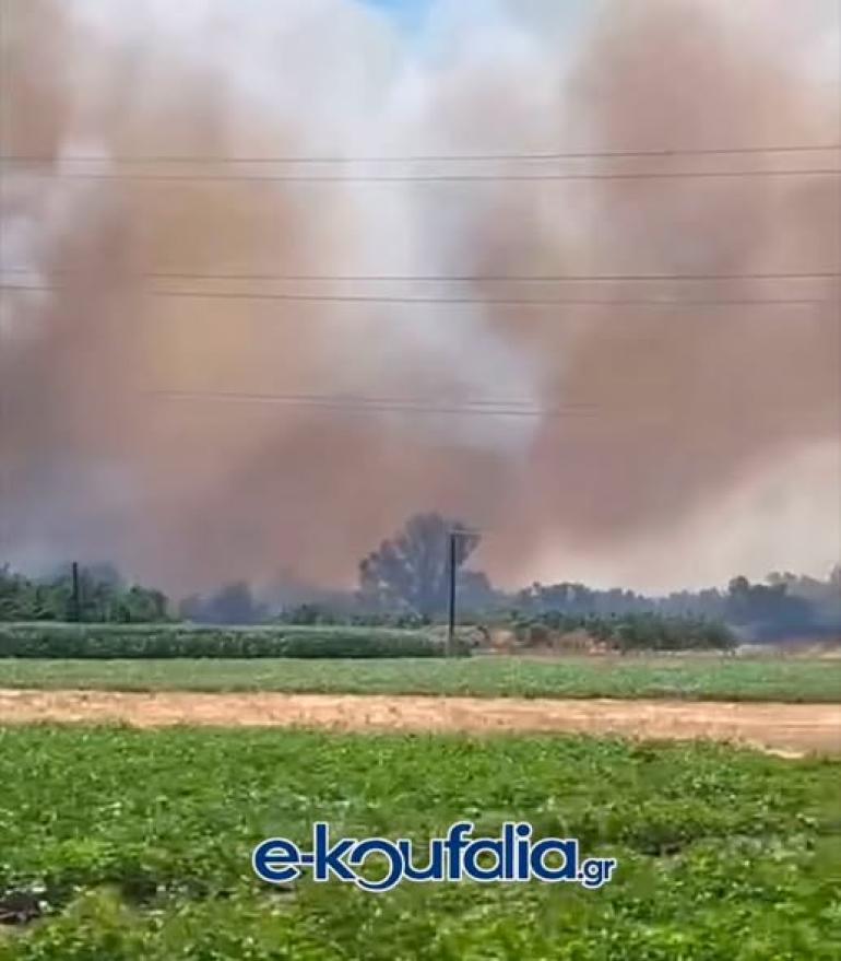 ΤΩΡΑ: Φωτιά στα Κουφάλια