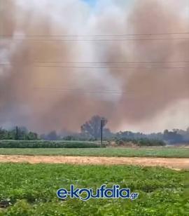 ΤΩΡΑ: Φωτιά στα Κουφάλια