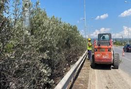 ΠΚΜ: Εργασίες κλάδευσης δέντρων και σήμερα στην 27η Επαρχιακή Οδό Θεσσαλονίκης – Μηχανιώνας