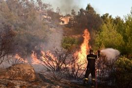 Κικίλιας για πυρκαγιές: Βελτιωμένη η κατάσταση σε Διόνυσο και Βαρνάβα