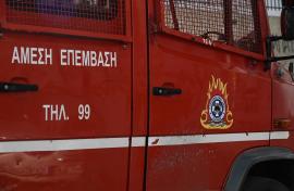Στις φλόγες ΙΧ στη Χαλκιδική - Επί τόπου η Πυροσβεστική