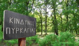 Χαλκιδική: Μέχρι το βράδυ σε ισχύ η απαγόρευση κυκλοφορίας και εργασιών που μπορεί να προκαλέσουν φωτιά