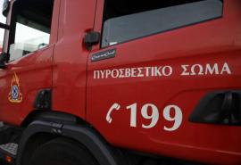Χαλκιδική: Υπό έλεγχο η πυρκαγιά σε δασική έκταση κοντά στον Νέο Μαρμαρά