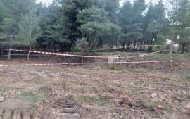 ΒΙΝΤΕΟ-Χαλκιδική: Σε εξέλιξη οι έρευνες για την σορό που βρέθηκε σε δάσος