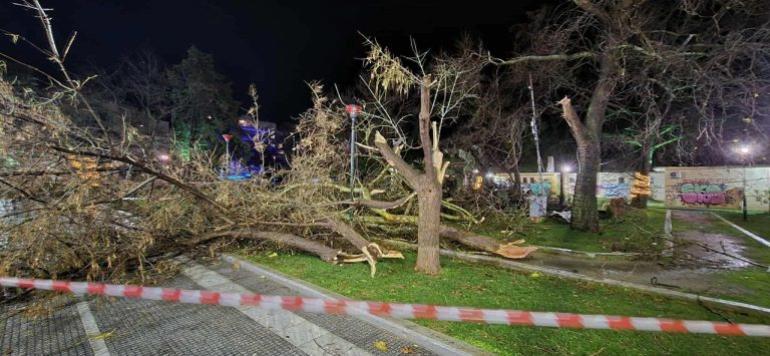 Ξεκίνησε η δήλωση ζημιών στον Δήμο Αλεξανδρούπολης από τον ανεμοστρόβιλο που «χτύπησε» το παραλιακό μέτωπο